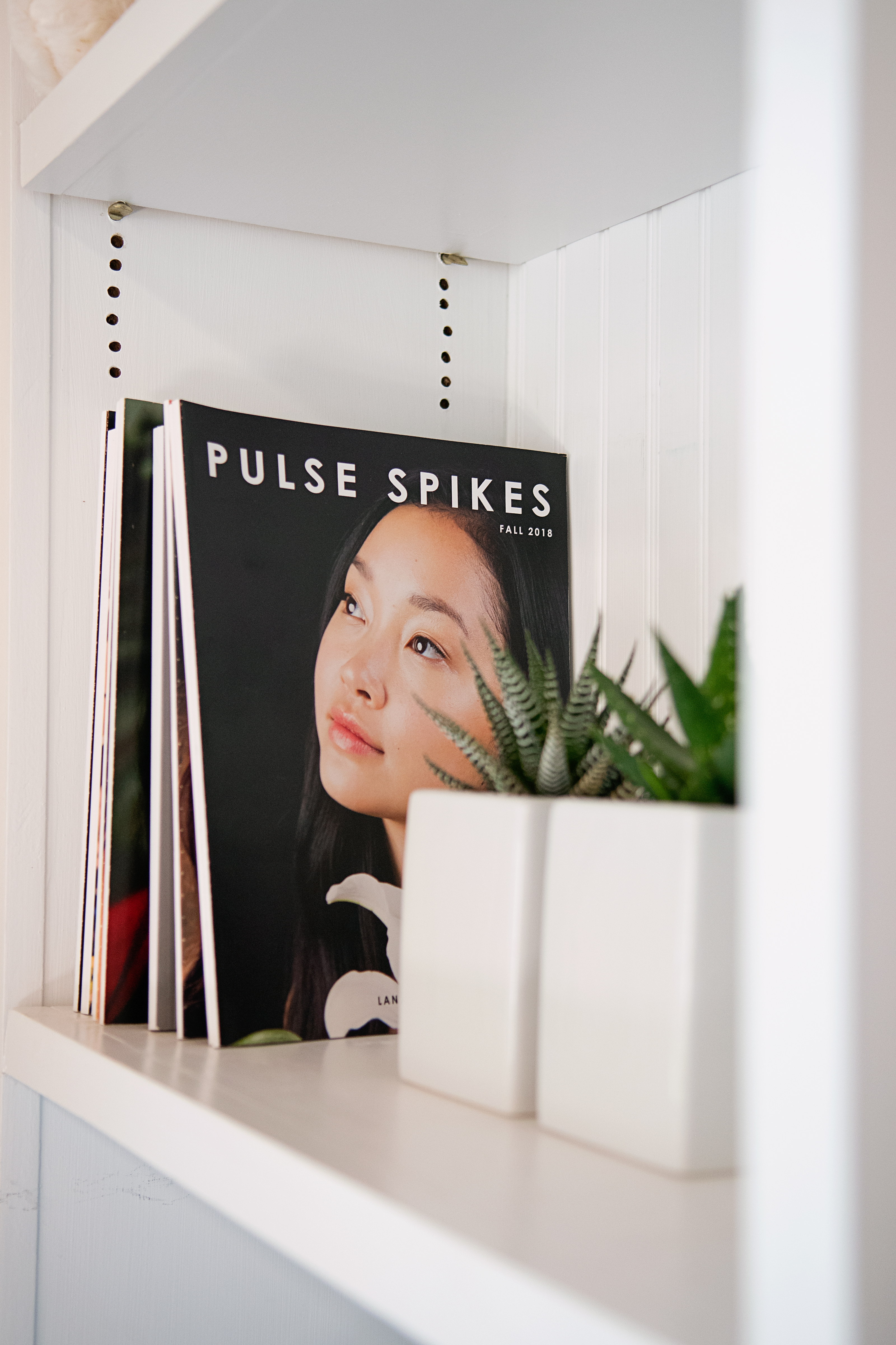 Pulse Spikes magazine issues